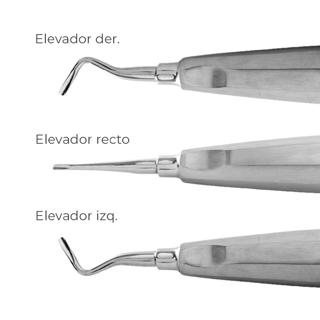 Elevador apical. BELKYS