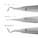 Elevador apical. BELKYS