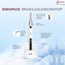 Micromotor para Endodoncia Mecanizada Endopace. DTE WOODPECKER