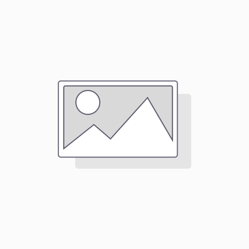 Pilar titanio recto 5.1 WP 