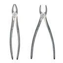[C003051] Forceps para extracción. para Adultos. BELKYS (#2)